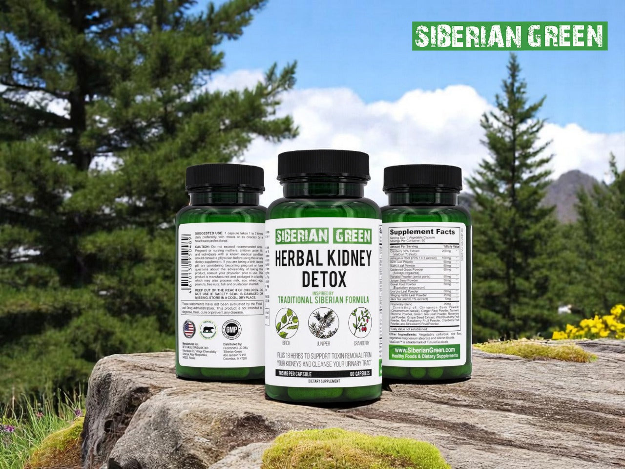 Altai mountain remedies for kidney function