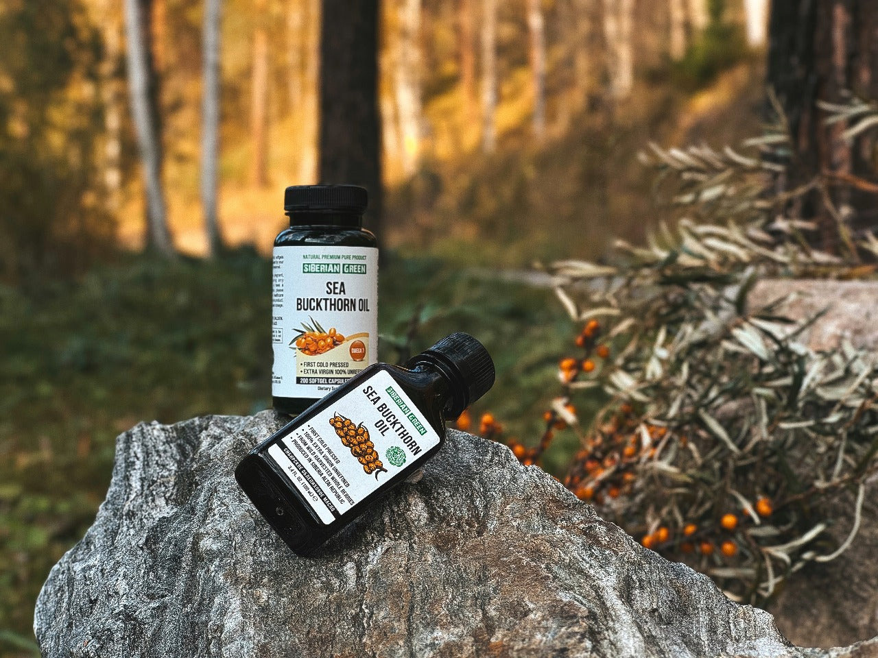 Sea Buckthorn Tea  Leaves – Wild-Harvested & Caffeine-Free