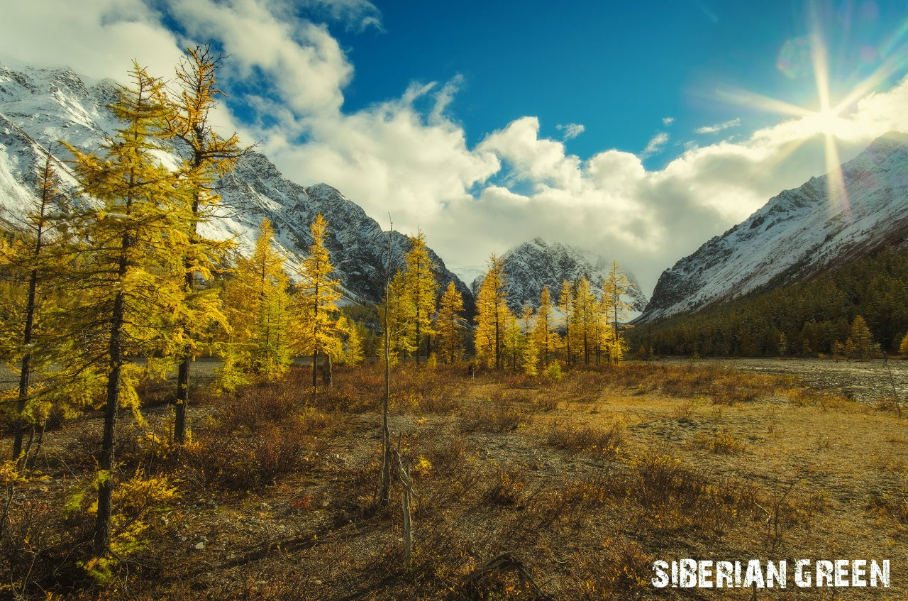 Siberia 