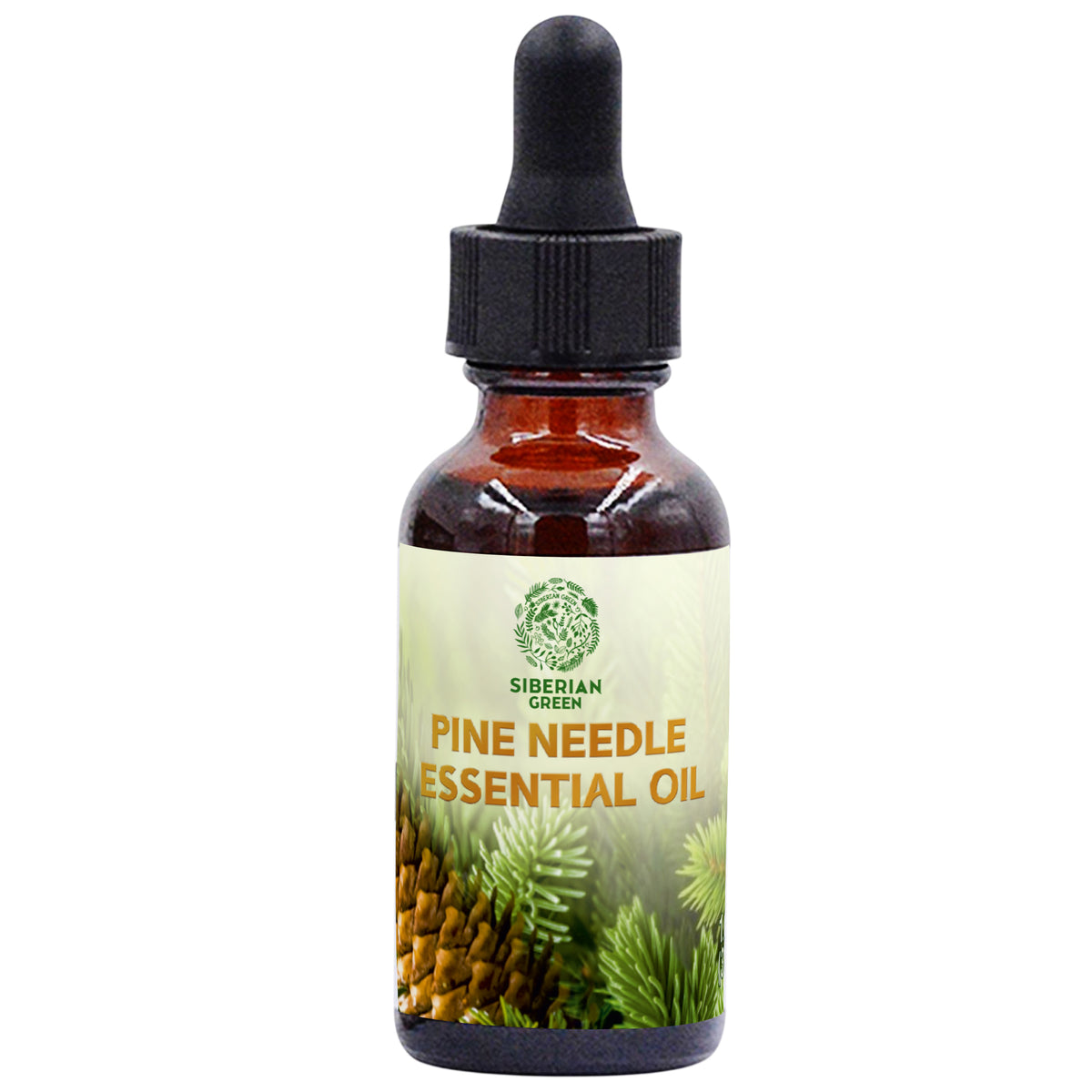 Siberian Pine Needle Essential Oil 30 ml 1.0 fl oz – Pure Therapeutic Grade Aromatherapy Oil for Diffuser, Sauna, Massage and Home Fragrance