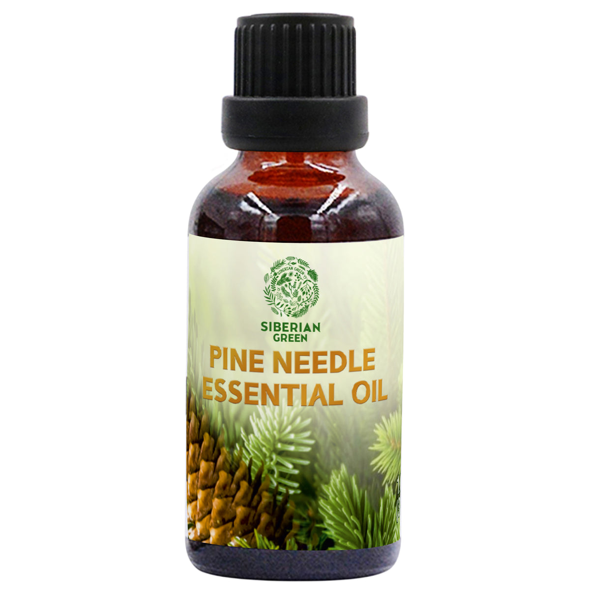 Siberian Pine Needle Essential Oil 30 ml 1.0 fl oz – Pure Therapeutic Grade Aromatherapy Oil for Diffuser, Sauna, Massage and Home Fragrance