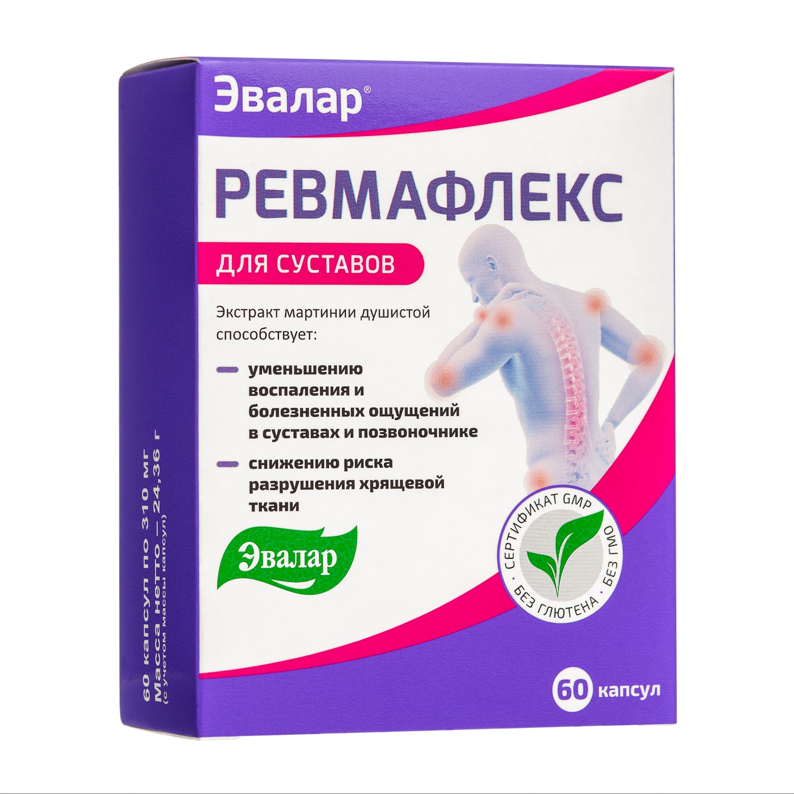 Devil's Claw Joint Support – Evalar 60 Caps