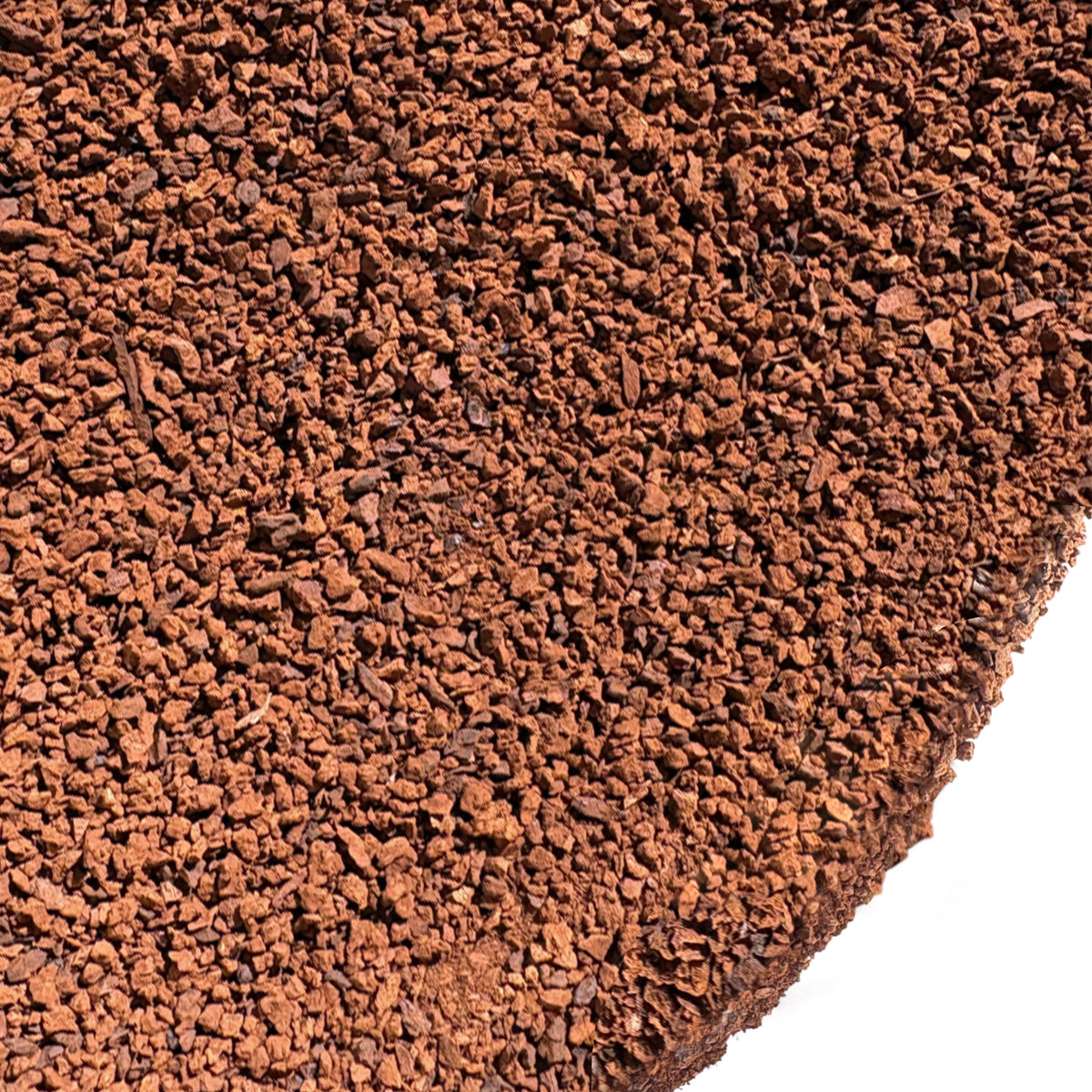 Siberian Green Chaga Pure Raw Chunks Coarse Powder 5 oz (142g) Wildcrafted Mushroom Tea and Adaptogenic Superfood (Inonotus obliquus)