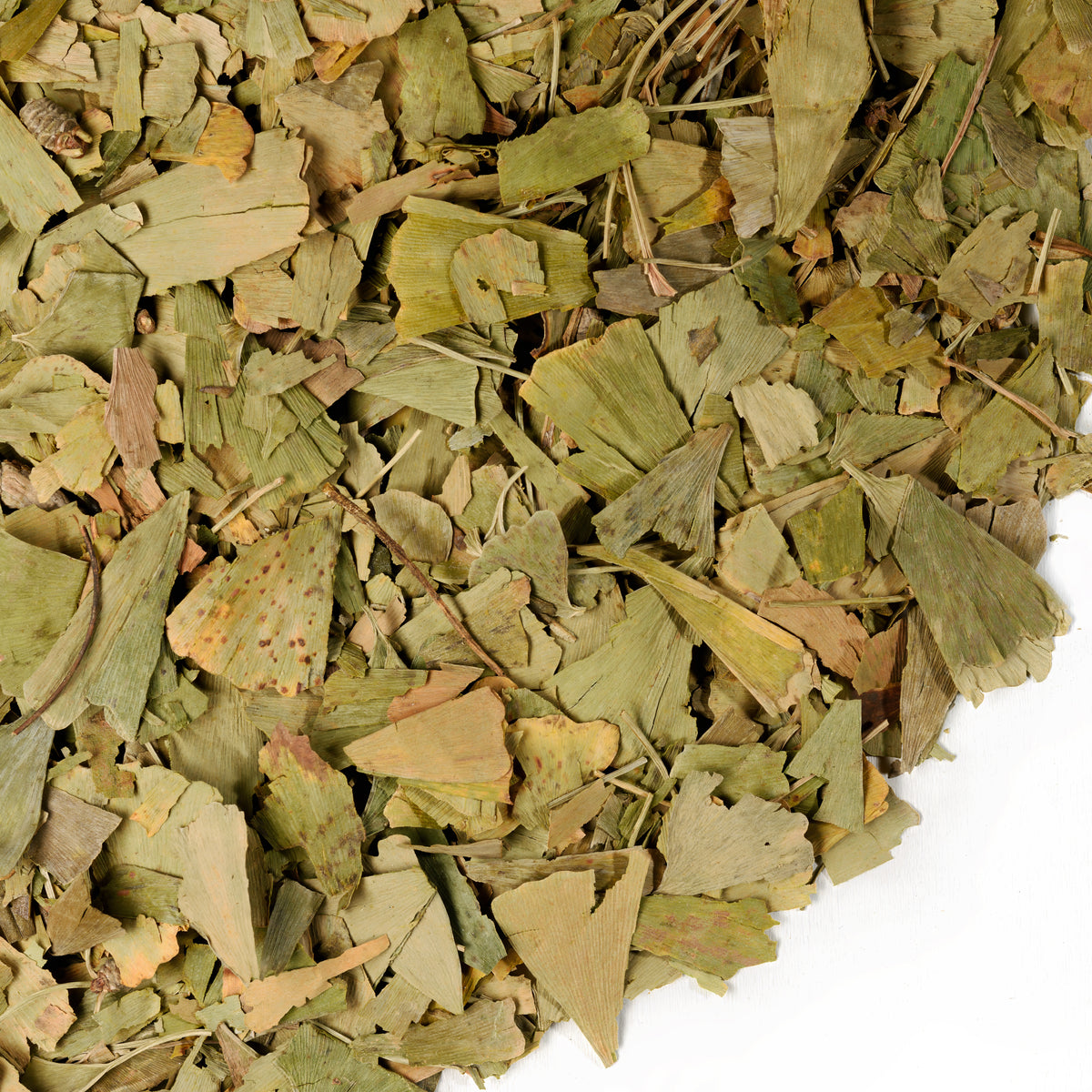 Hojas de Ginkgo Biloba siberiano verde cortadas y tamizadas, 200 g (7,06 oz): té de Biloba suelto 100 % de primera calidad, cosecha silvestre, pura y saludable