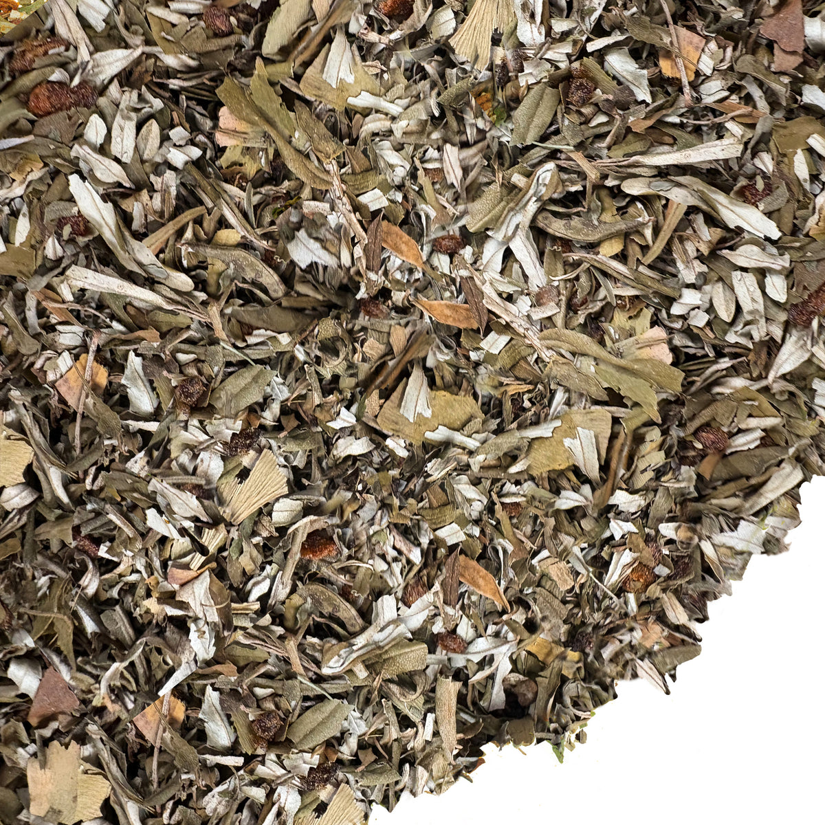Té de espino amarillo siberiano, 100 g (3,53 oz), hojas secadas al sol de Hippophae, recolectadas de forma silvestre en las montañas de Altái