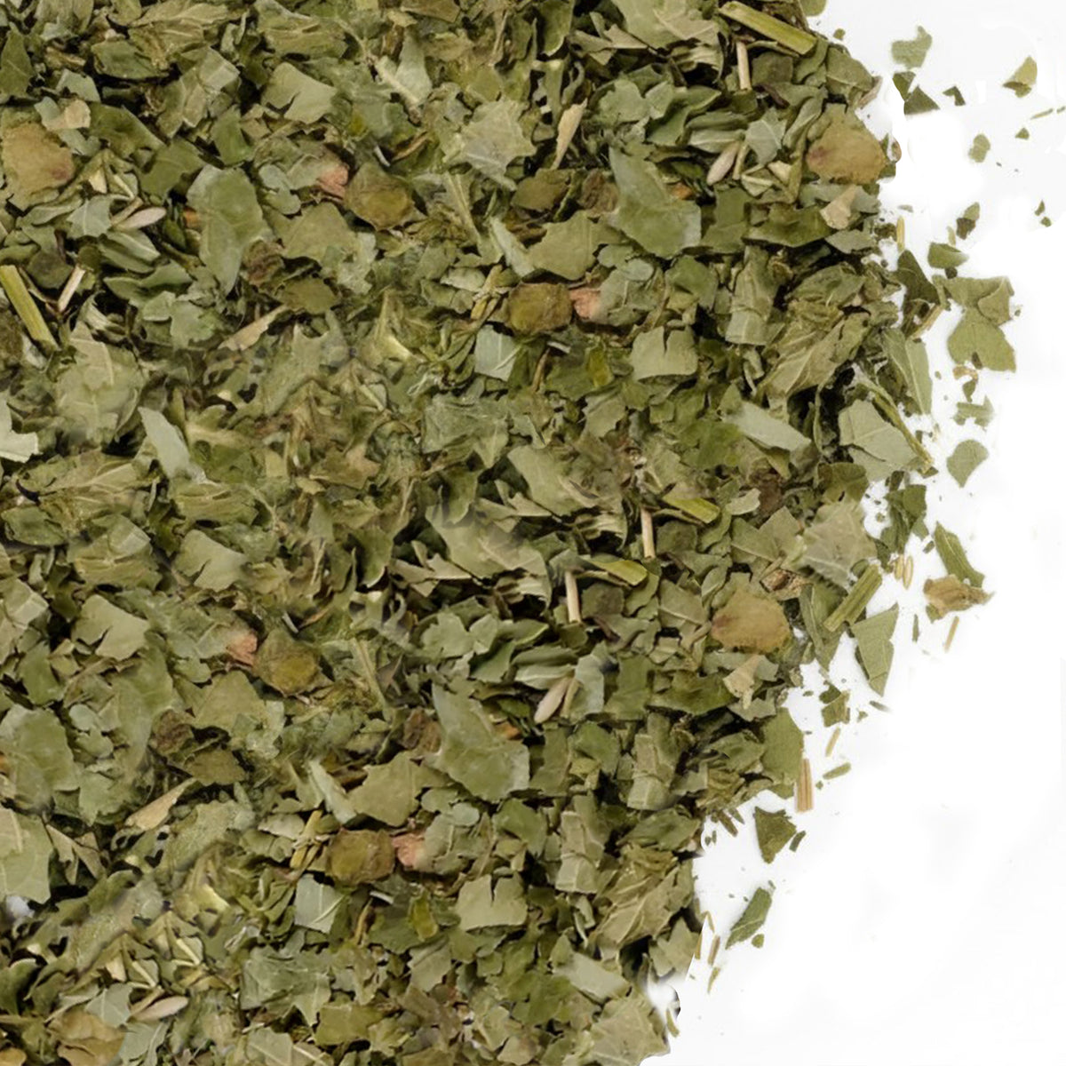 Siberian Green Black Currant Leaf Tea Loose Leaf Cut and Sifted 3 oz (85 g) Wild-Grown Ribes nigrum Immune and Wellness Support