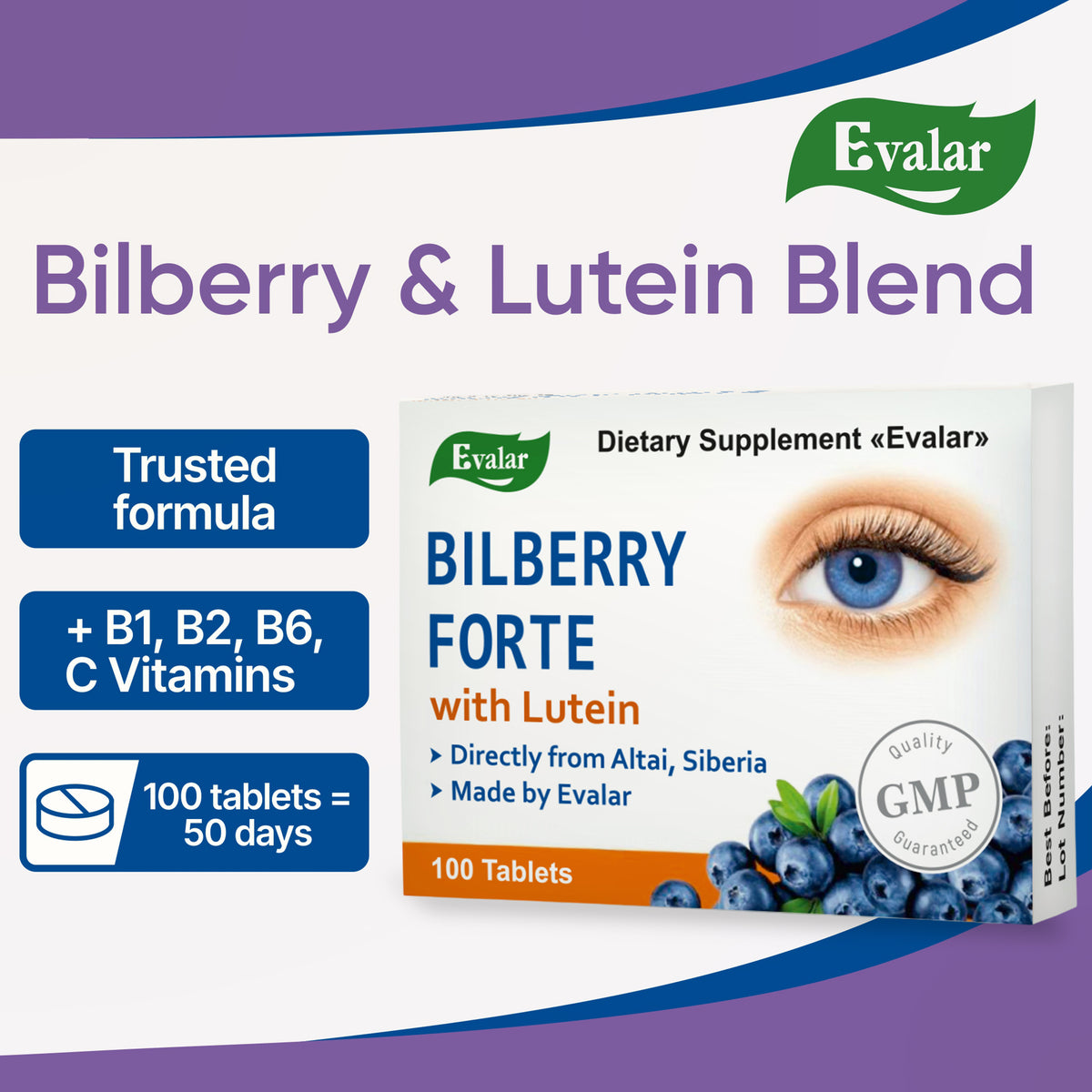 Blueberry Forte with Lutein - 100 Tablets- Vision care and Eye care supplement
