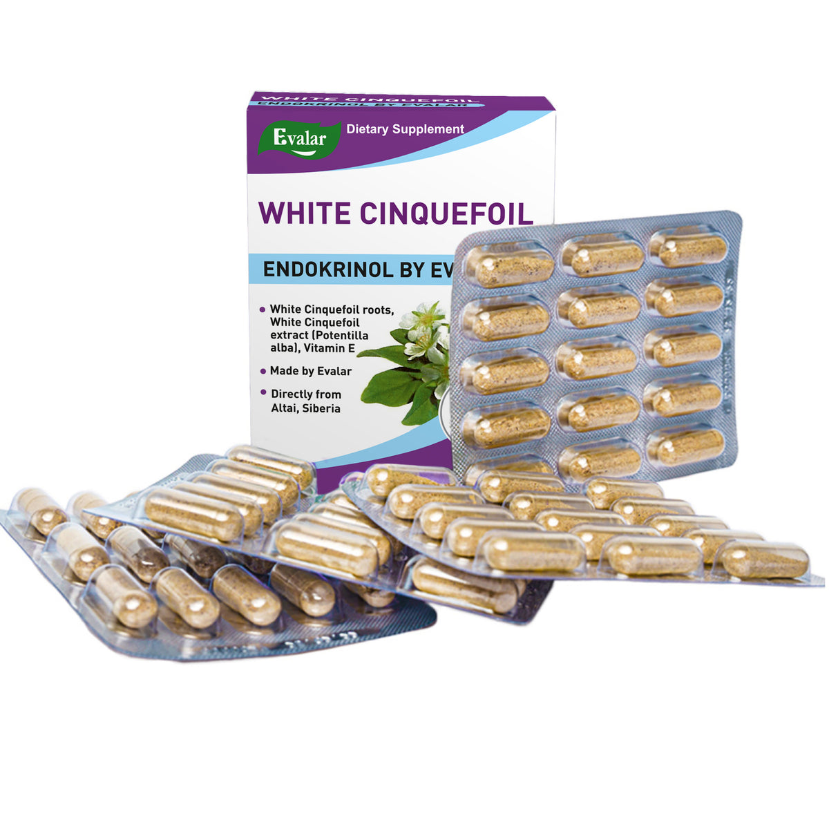 White Cinquefoil Herb by Evalar 60 Caps