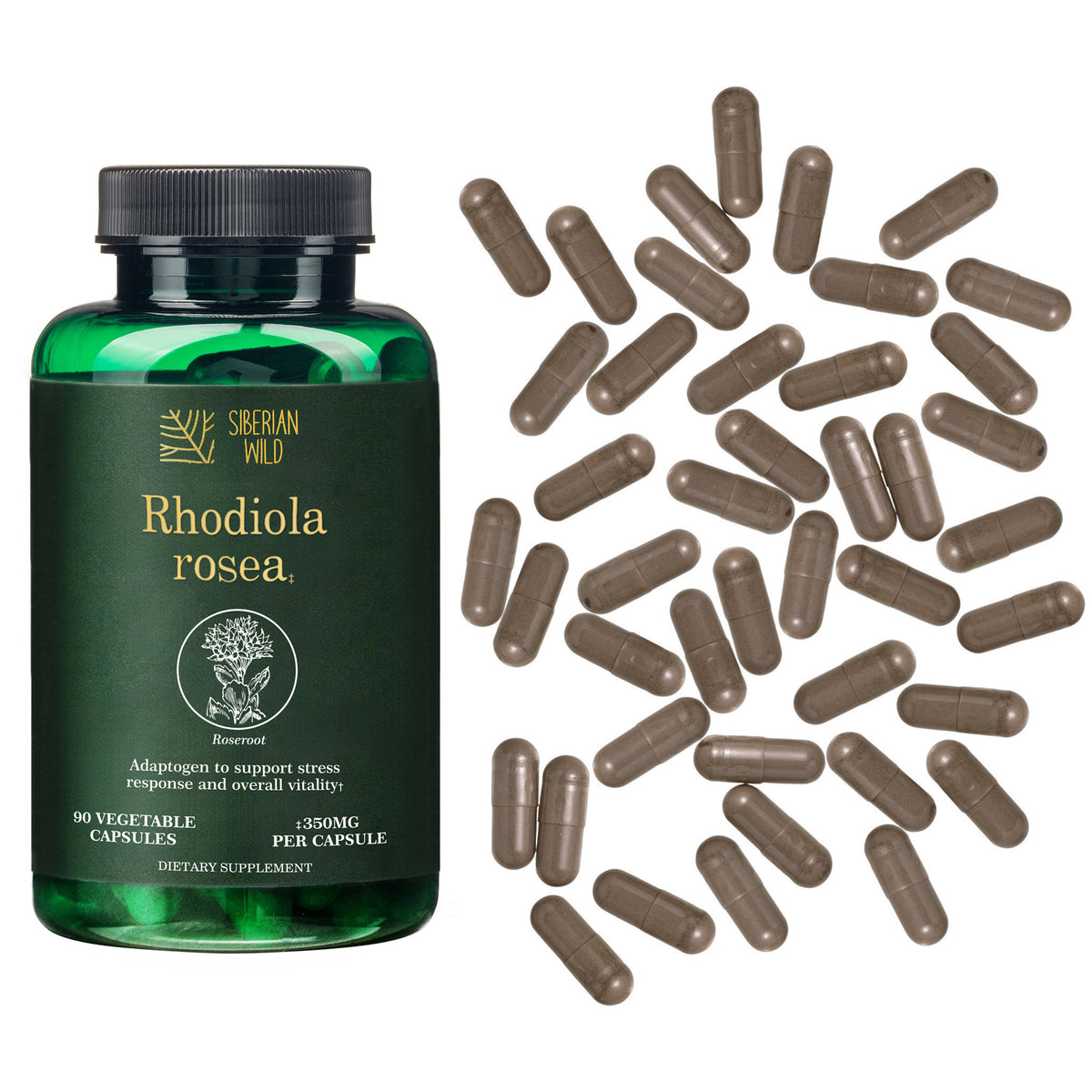 Siberian Wild Rhodiola Rosea Capsules – 350 mg – 90 Vegan Capsules