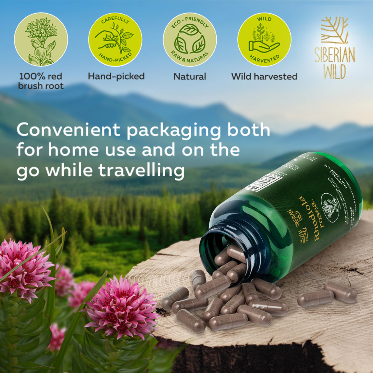Siberian Wild Rhodiola Rosea Capsules – 350 mg – 90 Vegan Capsules