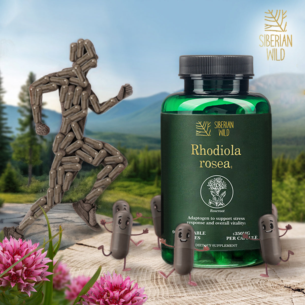 Siberian Wild Rhodiola Rosea Capsules – 350 mg – 90 Vegan Capsules