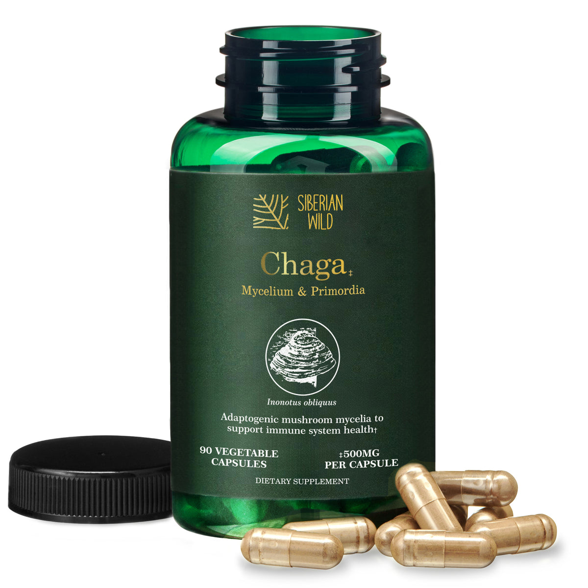 Siberian Wild Chaga Mushroom – 1500mg Capsules for Immunity Booster Chaga