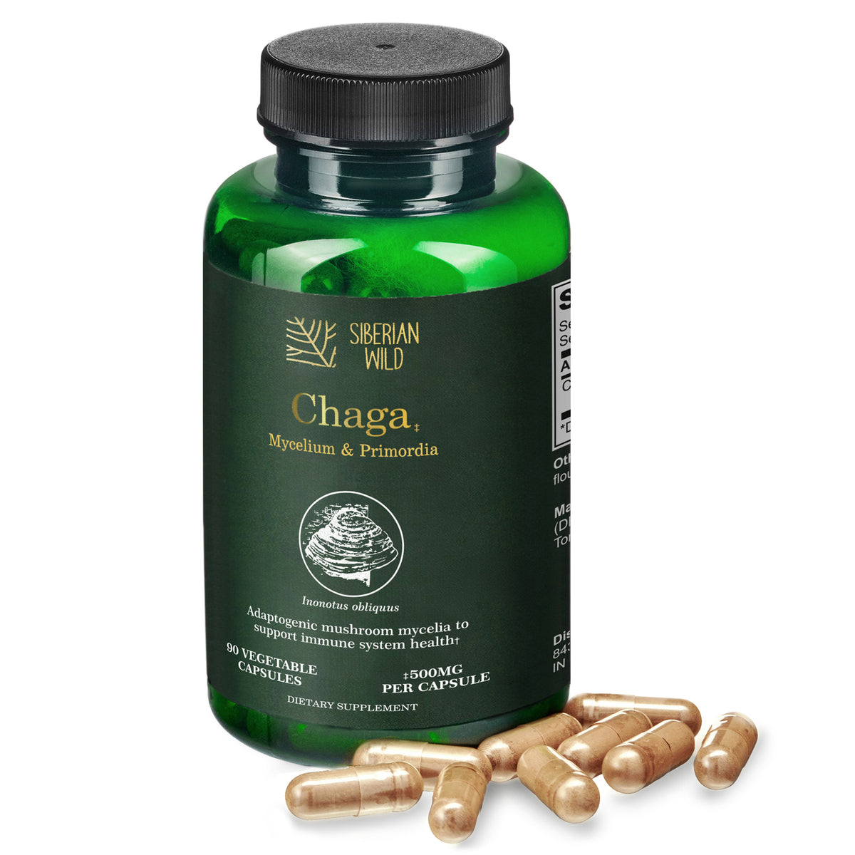 Siberian Wild Chaga Mushroom – 1500mg Capsules for Immunity Booster Chaga