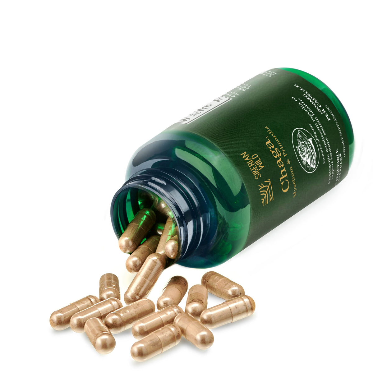 Siberian Wild Chaga Mushroom – 1500mg Capsules for Immunity Booster Chaga