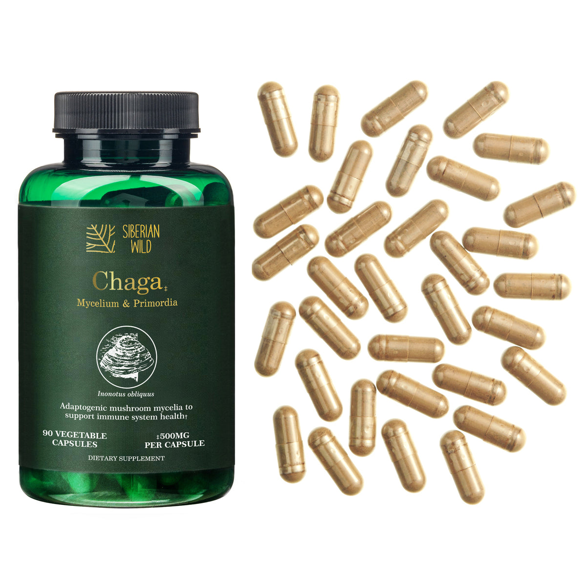 Siberian Wild Chaga Mushroom – 1500mg Capsules for Immunity Booster Chaga
