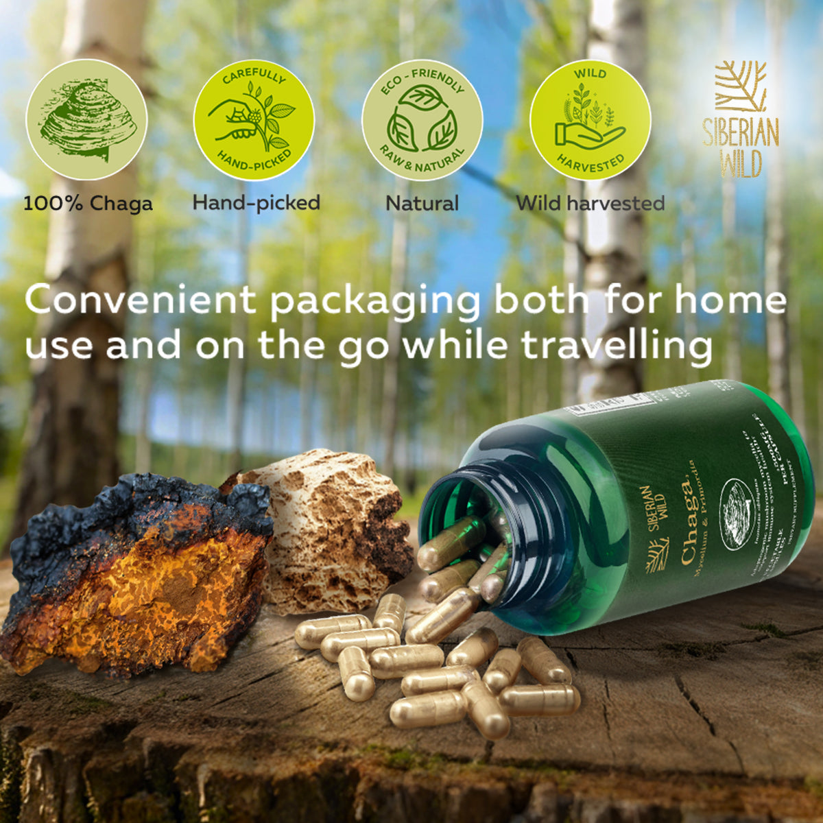 Siberian Wild White Chaga – 1500mg Immunity Capsules with Mycelium and Primordia