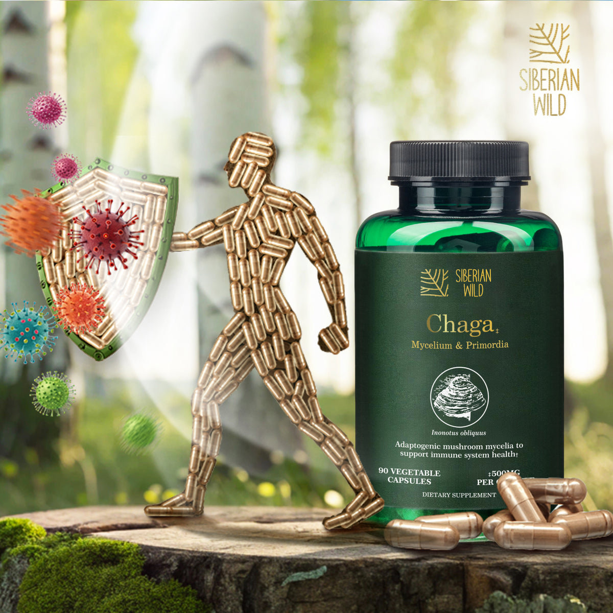 Siberian Wild White Chaga – 1500mg Immunity Capsules with Mycelium and Primordia