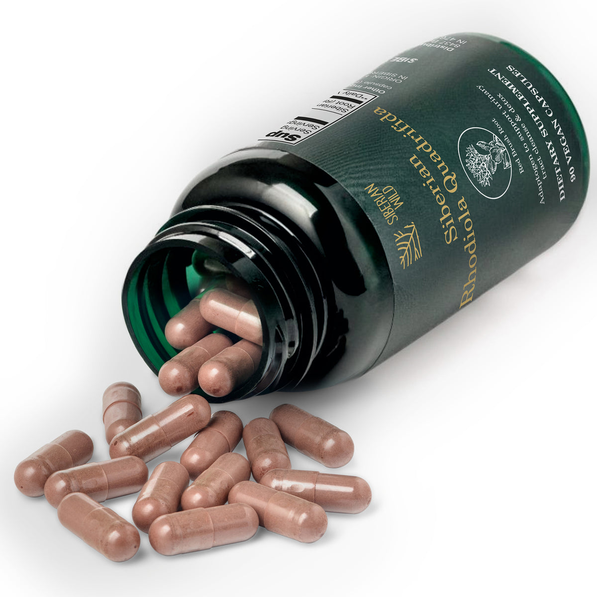 rhodiola supplement