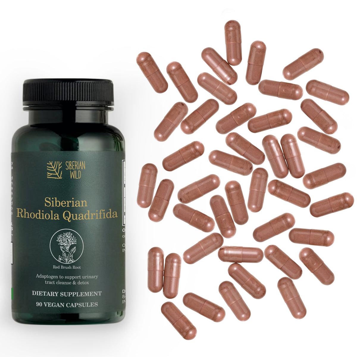 Rhodiola Capsules