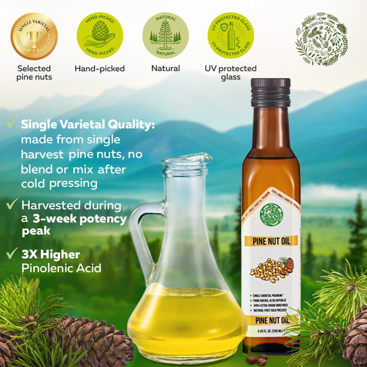 Organic Pine Nut Oil – Cold Pressed 250ml Single Varietal Premium