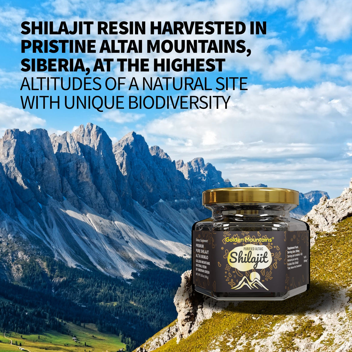 Golden Mountains Shilajit Resin 100g: Pure Altai Mountains Shilajit by Siberian Green