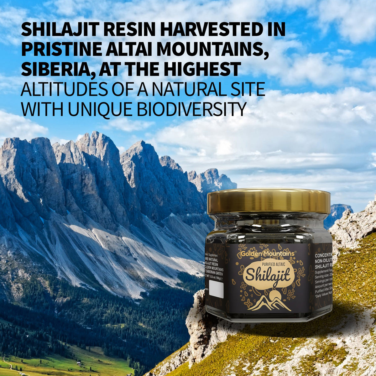 Golden Mountains Shilajit Resin 100g: Pure Altai Mountains Shilajit by Siberian Green